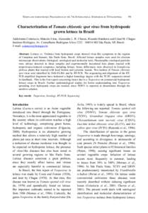 THRIPS AND TOSPOVIRUSES: PROCEEDINGS OF THE 7TH INTERNATIONAL SYMPOSIUM ON THYSANOPTERA  99 Characterization of Tomato chlorotic spot virus from hydroponic grown lettuce in Brazil