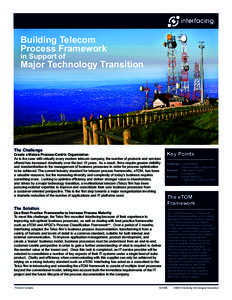 Building Telecom Process Framework in Support of Major Technology Transition