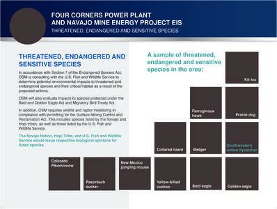 Four Corners Power Plant and Navajo Mine Energy Project EIS