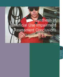 Synthesis of Beneficial Use Impairment Assessment Conclusions Photo: John Cooper