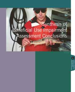 Water / Environmental science / Water pollution / Erie Canal / Lake Erie / Saint Lawrence Seaway / Great Lakes Areas of Concern / Water quality / Great Lakes / Environment / Canada–United States border / Geography of Canada