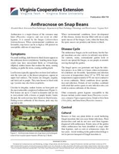 Publication[removed]Anthracnose on Snap Beans Elizabeth Bush, Extension Plant Pathologist, Department of Plant Pathology, Physiology, and Weed Science, Virginia Tech