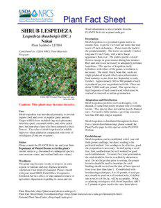 Plant Fact Sheet SHRUB LESPEDEZA Lespedeza thunbergii (DC.)