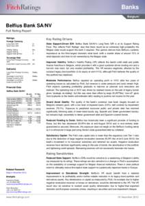 Banks Belgium Belfius Bank SA/NV Full Rating Report Ratings