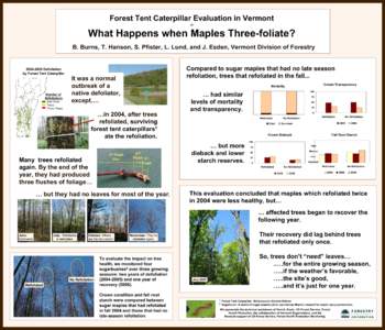 Forest Tent Caterpillar Evaluation in Vermont or What Happens when Maples Three-foliate? B. Burns, T. Hanson, S. Pfister, L. Lund, and J. Esden, Vermont Division of Forestry