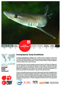 © Andy Murch / Elasmodiver.com  Amazing Species: Dusky Smoothhound The Dusky Smoothhound, Mustelus canis, is listed as ‘Near Threatened’ on the IUCN Red List of Threatened SpeciesTM. This shark is found in the weste