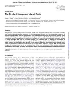 Flaveria / C4 carbon fixation / Bassia / Salsoloideae / Suaedoideae / Monocotyledon / Eleocharis / Halothamnus / Caryophyllales / Eudicots / Plant taxonomy / Amaranthaceae