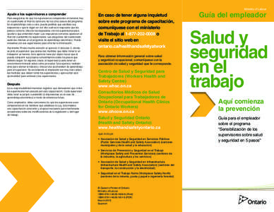 Ministry of Labour  Ayude a los supervisores a comprender Para asegurarse de que los supervisores comprenden el material, hay un cuestionario al final de cada uno de los cinco pasos del programa. En el aprendizaje cara a