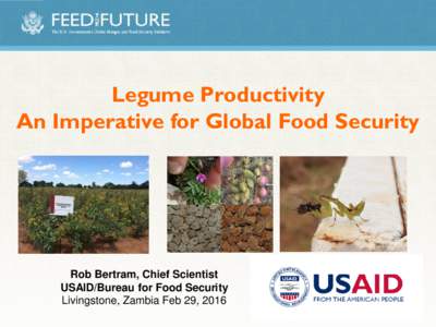 Legume Productivity An Imperative for Global Food Security Rob Bertram, Chief Scientist USAID/Bureau for Food Security Livingstone, Zambia Feb 29, 2016