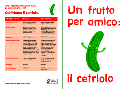 graphic design Francesca Spinazzé  Perché l’agricoltura biologica è diversa da quella convenzionale?  Coltiviamo il cetriolo.