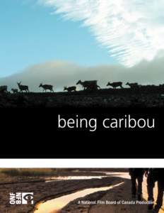being caribou  A National Film Board of Canada Production THE FILMMAKERS