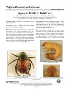 publication[removed]Japanese Beetle in Field Corn S. Tiwari, Graduate Research Assistant, Department of Entomology, Virginia Tech R.R. Youngman, Professor and Extension Specialist, Department of Entomology, Virginia Tec