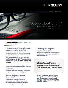 SYNERGY SMARTVIEWS  Support tool for ERP Realtime Information ERP Track Performance