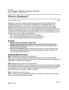 What is Biodiesel? Division of Energy fact sheet[removed]Biodiesel is a cleaner-burning fuel for diesel engines made from domestically produced