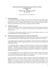 Thirteenth meeting of the Joint Liaison Group of the Rio Conventions 24 September:00 UN Plaza 1 (DC 1) 11th floor room 1170 New York, USA Chair: Braulio Ferreira de Souza Dias