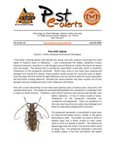 Protostome / Ornamental trees / Parasites / Bursaphelenchus xylophilus / Bursaphelenchus / Pinus thunbergii / Beetle / Pine / Monochamus / Biology / Nematodes / Phyla