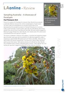 Trees of Australia / Ornamental trees / Flora of New South Wales / Plant morphology / Eucalyptus / Currency Creek Arboretum / Corymbia / Eucalypt / Angophora / Eudicots / Rosids / Myrtales