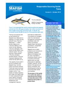 Seafish Responsible Sourcing Guide: Tuna