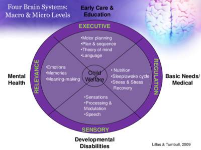 Four Brain Systems: Macro & Micro Levels Early Care & Education EXECUTIVE