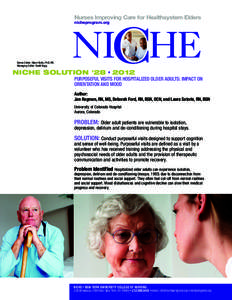 Nurses Improving Care for Healthsystem Elders nicheprogram.org Series Editor: Marie Boltz, PhD, RN Managing Editor: Scott Bugg