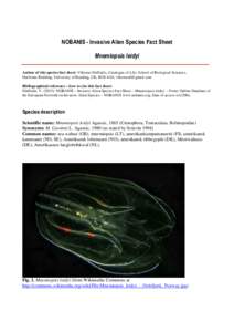 NOBANIS - Invasive Alien Species Fact Sheet Mnemiopsis leidyi Author of this species fact sheet: Viktoras Didžiulis, Catalogue of Life, School of Biological Sciences, Harborne Building, University of Reading, UK, RG6 6A