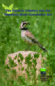 The Pipeline Industry and the Migratory Birds Convention Act TABLE OF CONTENTS Introduction ................................................................................1 Background ..................................