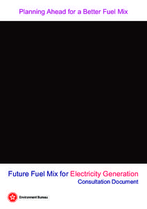 Planning Ahead for a Better Fuel Mix  Future Fuel Mix for Electricity Generation Consultation Document  Environment Bureau