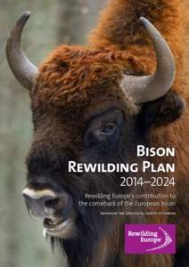 Bison / Rewilding / Wisent / Endangered species / Conservation biology / American bison / Pleistocene Rewilding / Biology / Environment / Ecology
