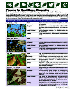 Planning for Plant Disease Diagnostics  Sandra Jensen and Karen Snover-Clift, Department of Plant Pathology and Plant-Microbe Biology, Cornell University Some highly damaging pathogens of common deciduous trees in New Yo