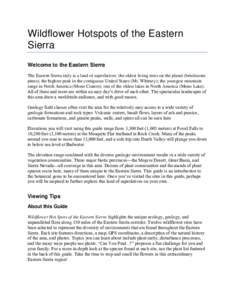 Wildflower Hotspots of the Eastern Sierra Welcome to the Eastern Sierra The Eastern Sierra truly is a land of superlatives: the oldest living trees on the planet (bristlecone pines); the highest peak in the contiguous Un