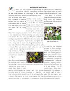 Scilloideae / Medicinal plants / Amaryllidoideae / Tulipa / Galanthus / Tulip / Siberian squill / Scilla / Leucojum / Asparagales / Flowers / Plant taxonomy