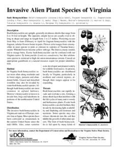 Invasive Alien Plant Species of Virginia Bush Honeysuckles: Belle’s honeysuckle (Lonicera x bella Zabel), Fragrant honeysuckle (L. fragrantissima Lindley & Pax), Amur honeysuckle (L. mackii (Rupr.) Maxim), Morrow’s h