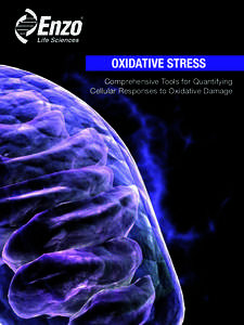 OXIDATIVE STRESS Comprehensive Tools for Quantifying Cellular Responses to Oxidative Damage ALLEVIATE THE STRESS OF OXIDATIVE STRESS RESEARCH