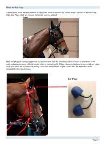 Hood and Ear Plugs A hood must be of wetsuit material or vinyl and must be secured by velcro straps, buckles or interlocking clips. Ear Plugs shall not be used by horses wearing a hood. Hood  Only ear plugs of a design a