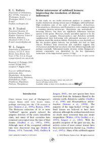 Subfossil lemur / Hadropithecus / Babakotia / Koala lemur / Archaeolemur / Mesopropithecus / Sloth lemur / Pachylemur / Palaeopropithecus / Fauna of Africa / Lemurs / Folivores