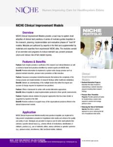 Nurses Improving Care for Healthsystem Elders  NICHE Clinical Improvement Models Overview NICHE Clinical Improvement Models provide a road map to system-level adoption of clinical best practices. A series of modules guid