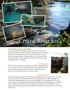 Crystal River 2014 Snorkel with the endangered manatee An amazing experience for all ages... Every year the West Indian Manatee seek asylum from the lower water temperatures during the winter months by congregating at th