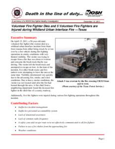 Emergency vehicles / Trucks / Aerial firefighting / Brush Truck / Fire apparatus / California Department of Forestry and Fire Protection / Firefighter / Bunker gear / Wildfire suppression / Firefighting / Public safety / Wildland fire suppression