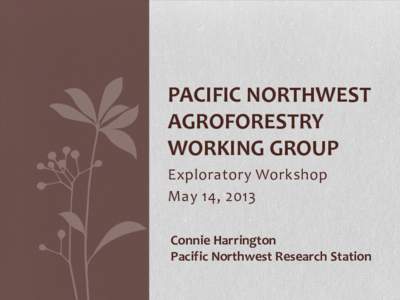 PACIFIC NORTHWEST AGROFORESTRY WORKING GROUP Exploratory Workshop May 14, 2013 Connie Harrington