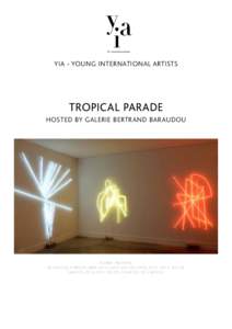 YIA - YOUNG INTERNATIONAL ARTISTS  TROPICAL PARADE HOSTED BY GALERIE BERTRAND BARAUDOU  KLEBER MATHEUS