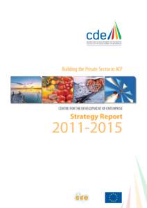 Building the Private Sector in ACP  CENTRE FOR THE DEVELOPMENT OF ENTERPRISE Strategy Report