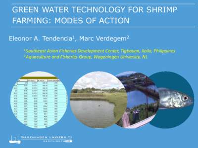 GREEN WATER TECHNOLOGY FOR SHRIMP FARMING: MODES OF ACTION Eleonor A. Tendencia1, Marc Verdegem2 1 Southeast  Asian Fisheries Development Center, Tigbauan, Iloilo, Philippines