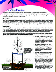 New Tree Planting Information on proper practices for planting a tree with a nine-step approach to successful planting and establishment. Purchasing a tree is a lifelong investment. How well this investment grows depends