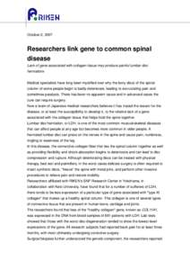 October 2, 2007  Researchers link gene to common spinal disease Lack of gene associated with collagen tissue may produce painful lumbar disc herniationx