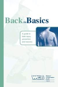 Back Basics to A guide to back injury prevention