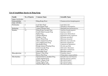 Microhyla / Hylarana taipehensis / Amolops / Hong Kong Cascade Frog / Hylarana macrodactyla / True frog / Painted Chorus Frog / Hylarana / Herpetology / Fauna of Asia