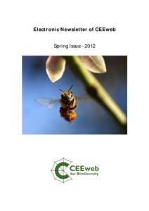 Electronic Newsletter of CEEweb Spring Issue[removed] IN THIS ISSUE: 