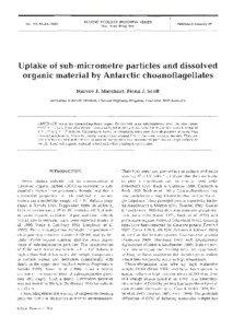 Choanoflagellate / Protista / Dextran / Choanocyte / Microbial loop / Animal / Vacuole / Biology / Anatomy / Flagellates