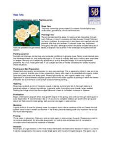 Botany / Dermateaceae / Diplocarpon rosae / Mulch / Rust / Thrips / Mildew / Annual growth cycle of grapevines / Powdery mildew / Biology / Agriculture / Agricultural pest insects