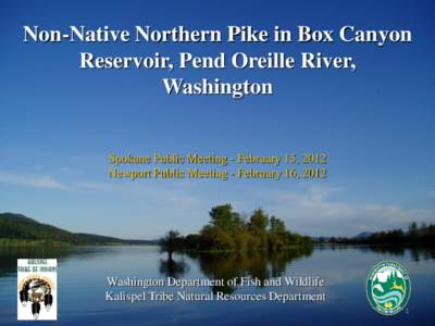Non-Native Northern Pike in Box Canyon Reservoir, Pend Oreille River, Washington Spokane Public Meeting - February 15, 2012 Newport Public Meeting - February 16, 2012